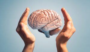 brain-stock-image-hands